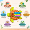 Turtle shaped mathematical sensory board for preschool children by Krida